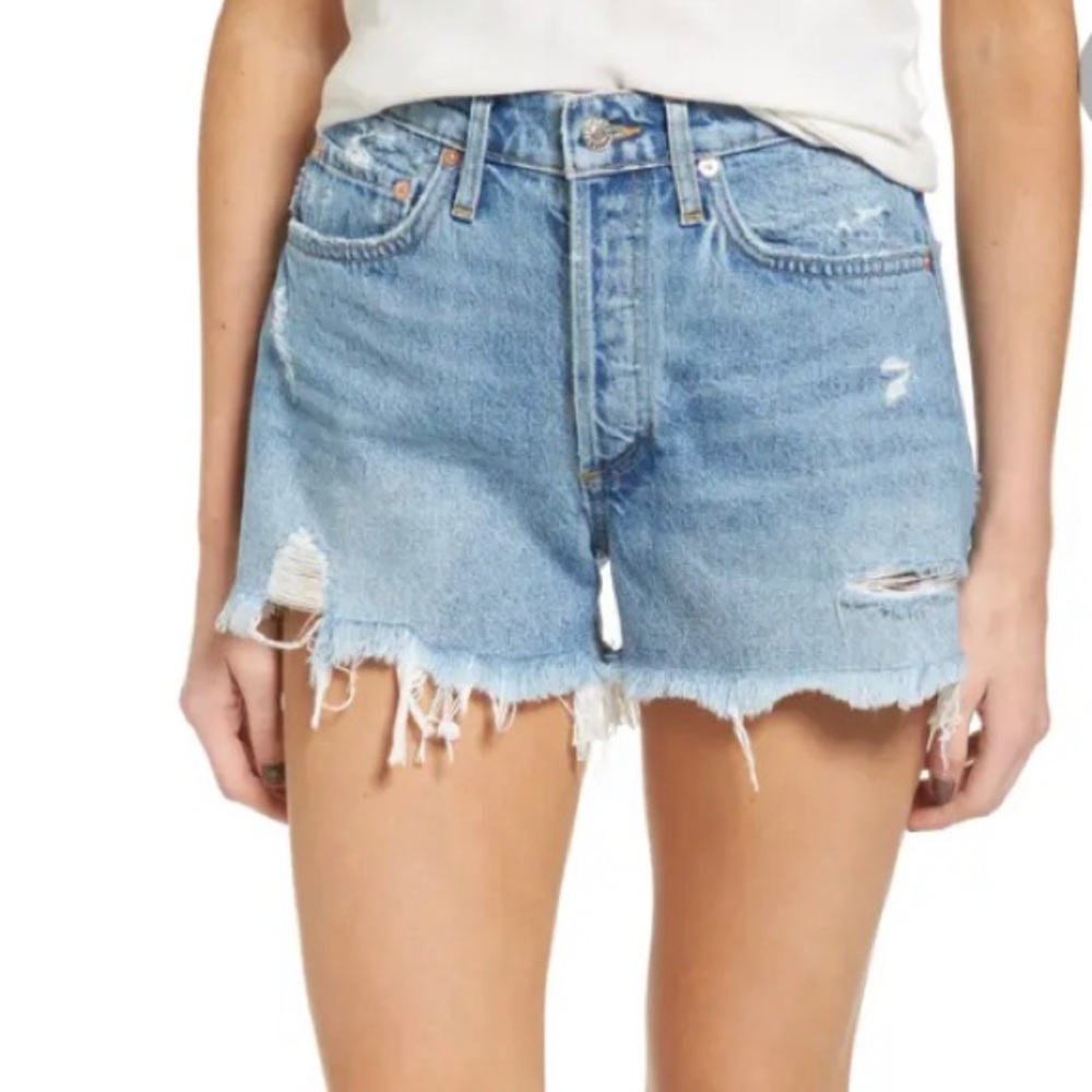 Agolde Parker Short in Swapmeet